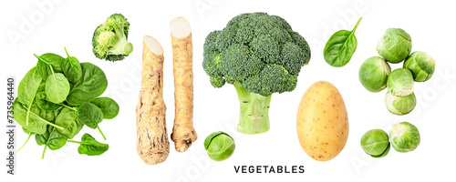 Potato spinach broccoli brussel sprouts horseradish isolated. Flat lay, top view. PNG with transparent background. Without shadow photo
