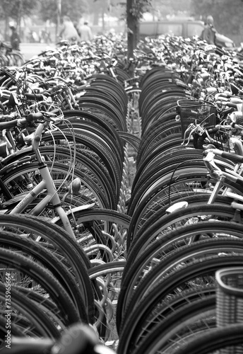 Photography Black and white photo of a row of Dutch bicycles parked in city of Amsterdam, Th