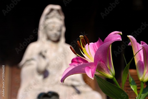 Lily flower with white religious statue behind it