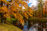 Autumn foliage in Catherine park, Pushkin, Saint Petersburg, Russia