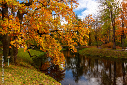 Autumn foliage in Catherine park  Pushkin  Saint Petersburg  Russia