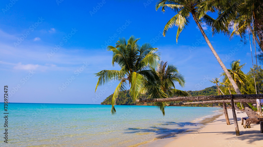 Summer palm tree  and Tropical beach with blue  of seashore background