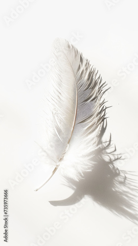 Close-up of elegant white feather against light background with sun rays and shadows. Airy concept. Generative AI
