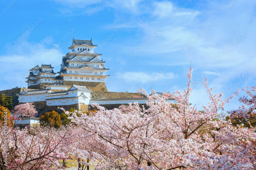 Scenic full bloom cherry blossom at Himeji castle in Hyogo, Japan Scenic full bloom cherry blossom at Himeji castle in Hyogo, Japan
