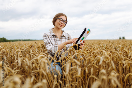 Woman  agronomist working in grain field and planning income of harvest. Female examining and checking quality control of produce wheat crop. Agriculture, gardening or ecology concept.