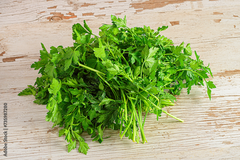 Culinary Detail: Light Wood Setting with Fresh Parsley Bunches Culinary Detail: Light Wood Setting with Fresh Parsley Bunches
