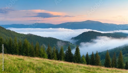 morning light on carpathian green mountain hills with a cloud of white fog over spruce forest
