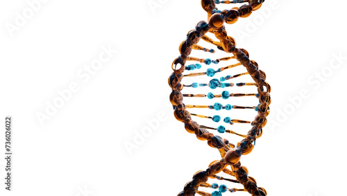 DNA double helix intertwined with digital AI elements symbolizing the future of personalized medicine, AI-powered genetic research unlocking new possibilities for personalized . photo