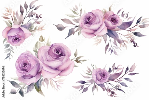 Roses in watercolor on white background