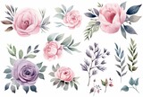 Roses in watercolor on white background