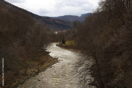 a stormy mountain river between two banks on which spruce trees grow
