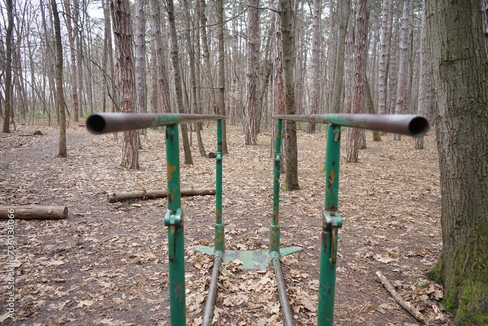 Fototapeta premium Photo of parallel bars in the woods