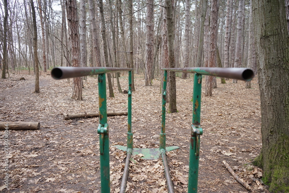 Photo of parallel bars in the woods