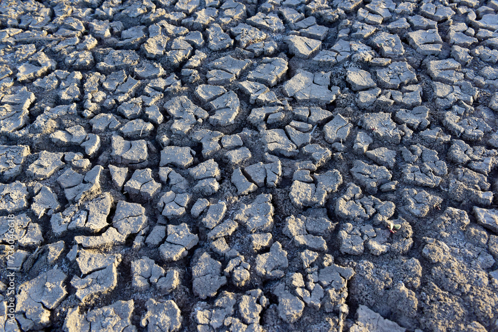 Cracked ground pattern in the desert, La Pampa, Argentina Cracked ground pattern in the desert, La Pampa, Argentina