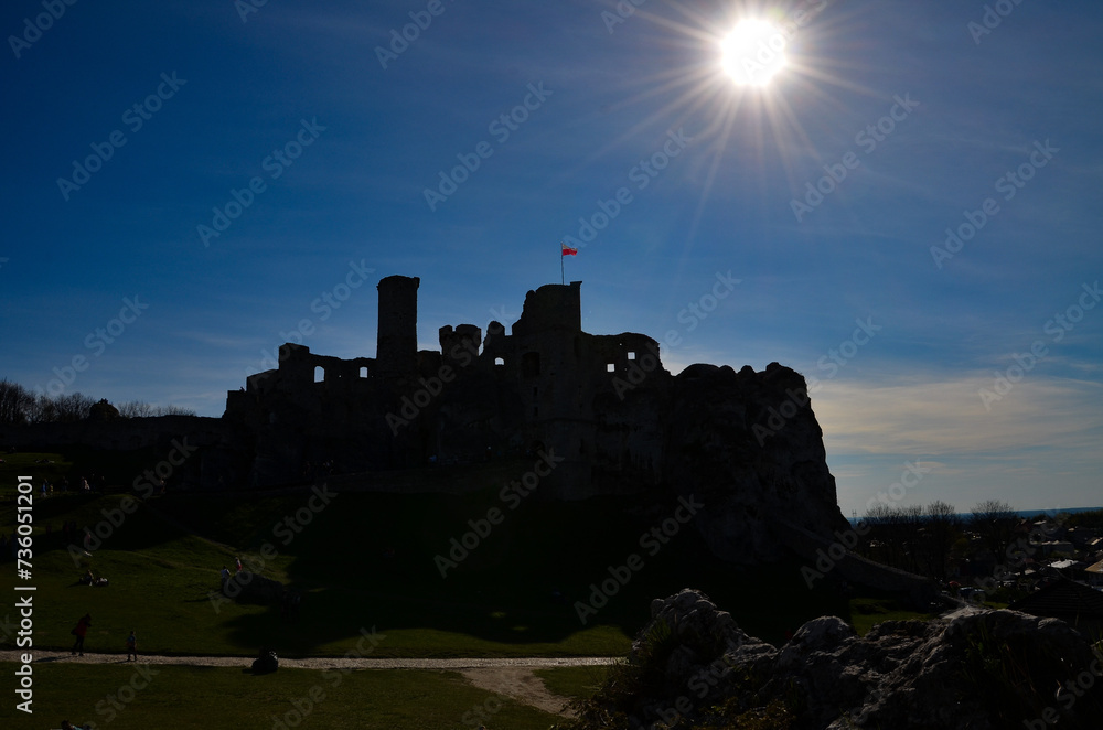 Fototapeta premium Zamek w Ogrodzieńcu