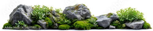 Large rocks with overgrown foliage and moss, surrounded by green plants and nature on a white background.