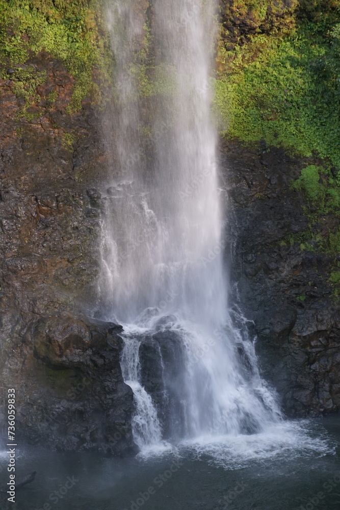 A beautiful waterfall in the midst of perfect nature in the forest. A beautiful waterfall in the midst of perfect nature in the forest.