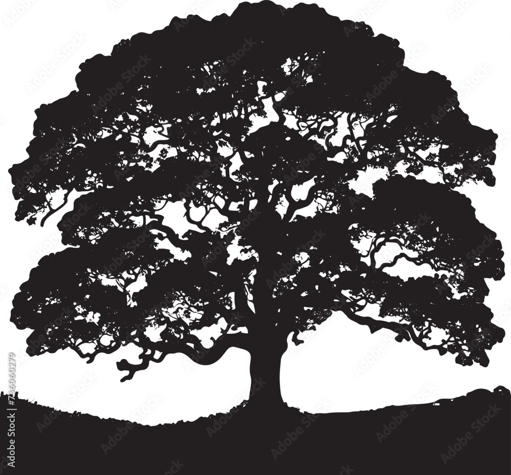 Fototapeta premium Oak tree icon isolated on white background
