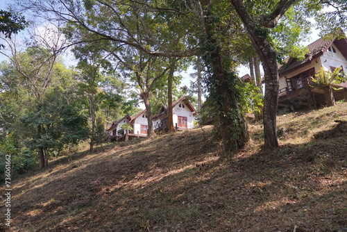 An abandoned village in the forest that looks eerie.