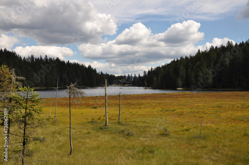 Ausschnit des Großen Arbersees mit Schwingrasen im Bayerischen Wald photo