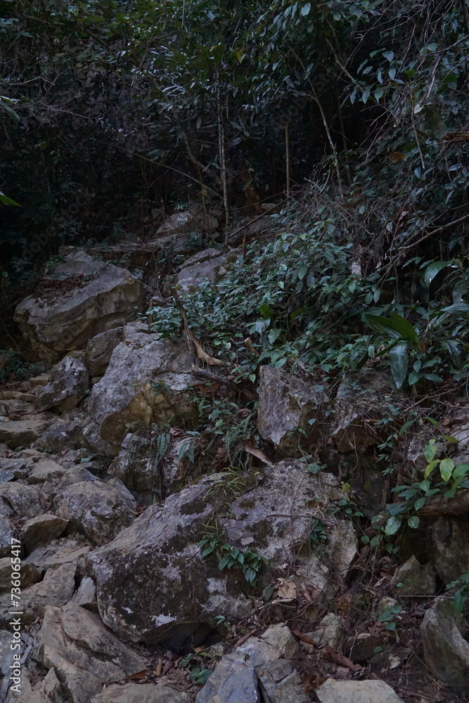 The hiking trail is full of large rocks and trees and wooden steps. The hiking trail is full of large rocks and trees and wooden steps.