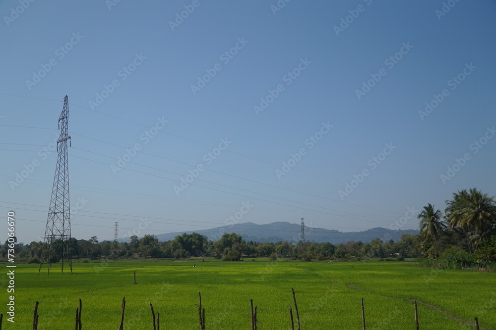 Greenery of juicy, colorful, rice fields. A bountiful harvest. Lao. Peasant life. Work in the countryside.Beautiful landscape Greenery of juicy, colorful, rice fields. A bountiful harvest. Lao. Peasant life. Work in the countryside.Beautiful landscape