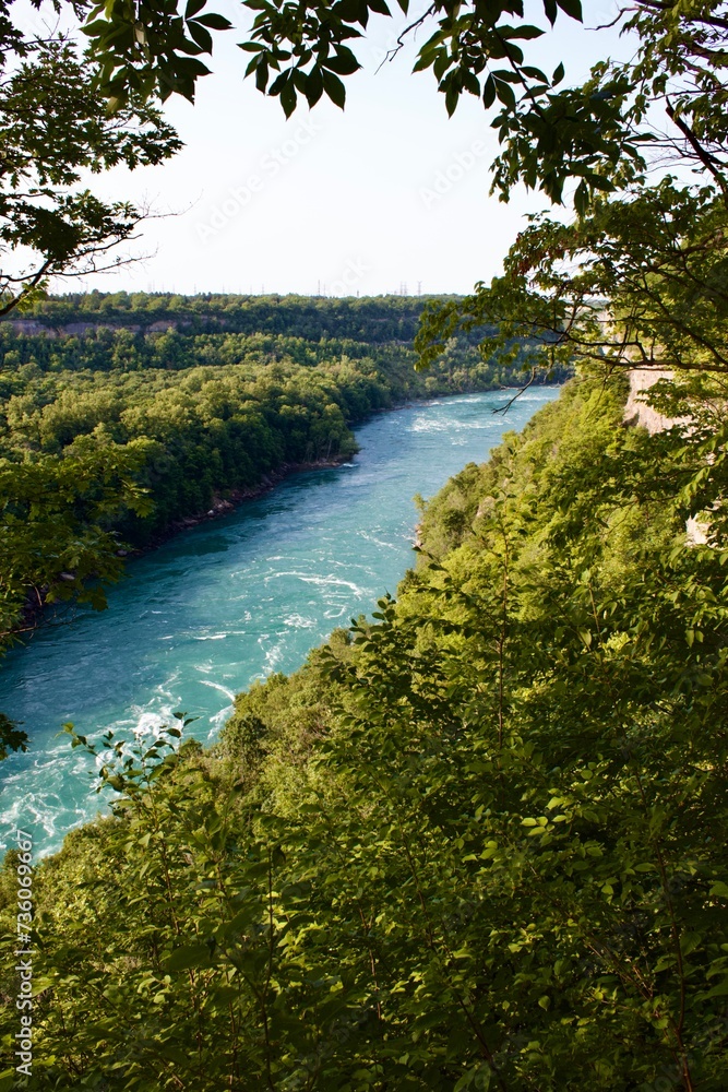 rushing river in the woods view from above