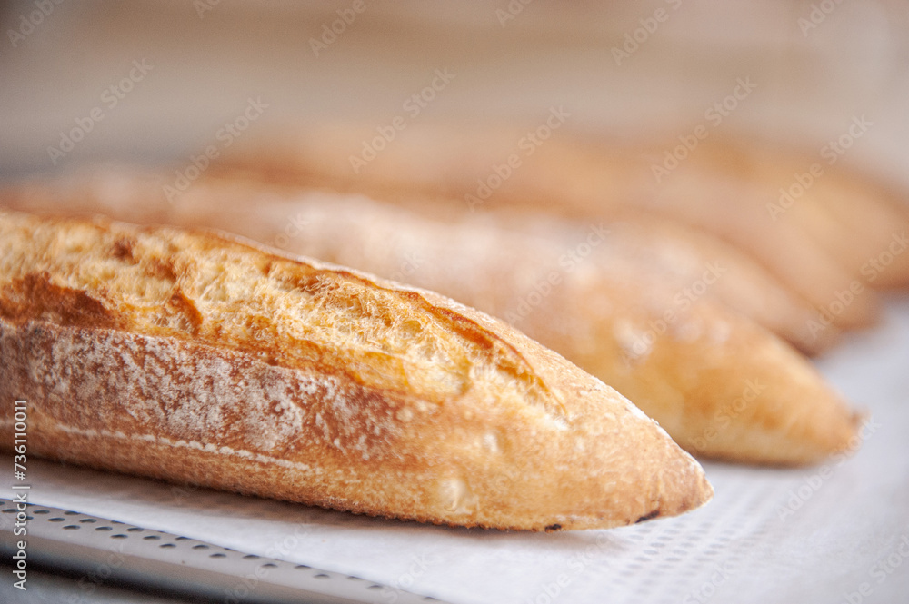 Assortments of bread, freshly baked on a shelf. Bakery goods. Variety of baguettes and buns. 