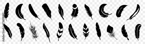 Set of black bird feather icon. Black feather collection. Set of detailed majestic feather. Feather icon collection