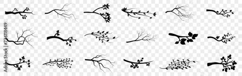 Set of branch silhouette icons. Tree branch collection. Set of cartoon tree branch. Black branch silhouette element