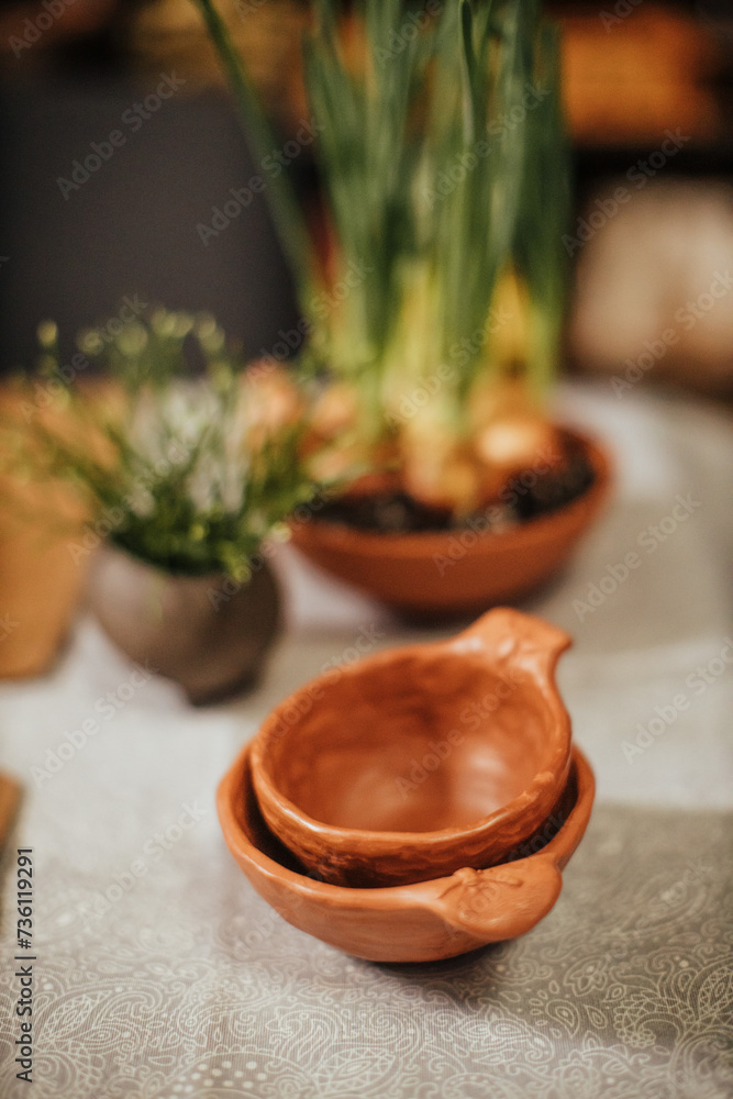 plants planted in handmade clay pots plants planted in handmade clay pots