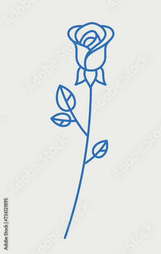 Rose flower. Line art, retro. Plants and herbs for cosmetics.
