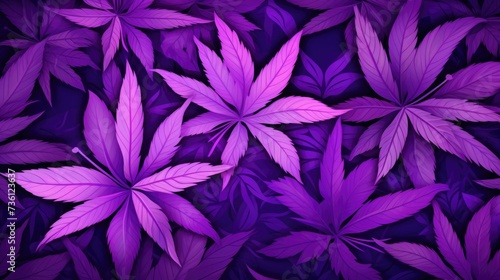 Background with Lilac marijuana leaves