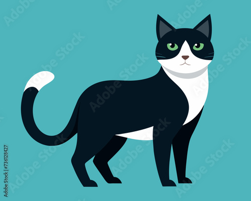 cat feline kitty kitten pussycat cartoon pretty cute vector illustration perfect beautiful amazing tabby tomcat