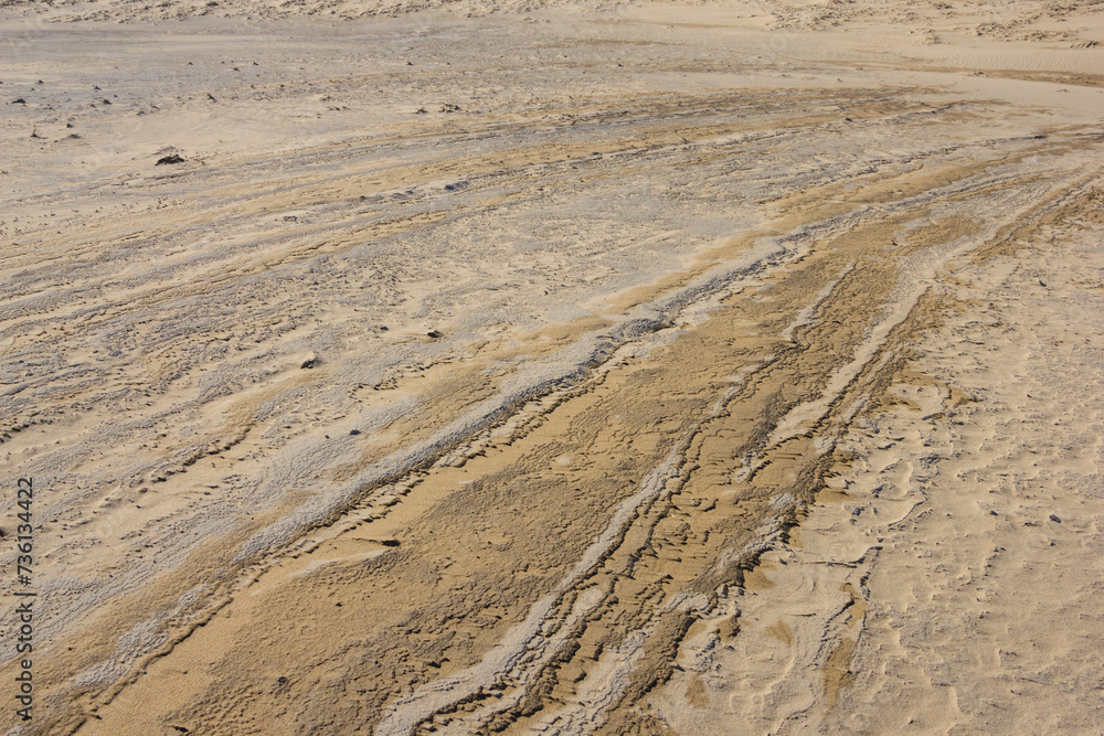 Fototapeta premium 冬の鳥取砂丘とその紋様 鳥取県 鳥取砂丘