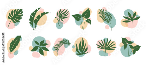 Boho leaf and plants, abstract organic shapes floral art and minimalist graphic design, vector set. Boho green leaves of palm and monstera or tropical plants and exotic fern leaf for botanical print photo