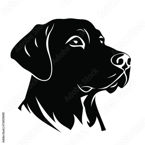 Fotografie Labrador Dog silhouette