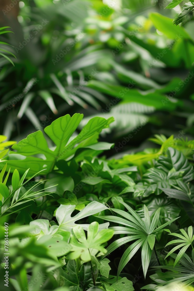Obraz premium A close-up view of a bunch of vibrant green plants. This image can be used to showcase the beauty of nature or as a background for eco-friendly concepts
