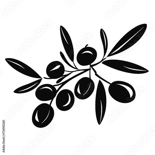 olive branch with olives