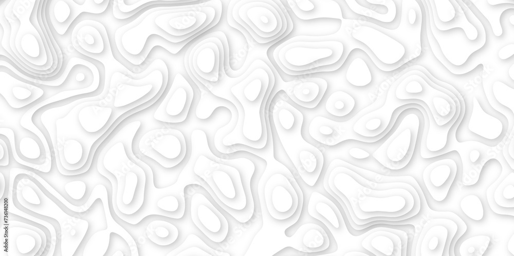 Abstract geometric layered curve line white background. 3d white papercut topography relief. Cover layout template. paper cut topography soft background banner texture. light liquid wave illustration. Abstract geometric layered curve line white background. 3d white papercut topography relief. Cover layout template. paper cut topography soft background banner texture. light liquid wave illustration.