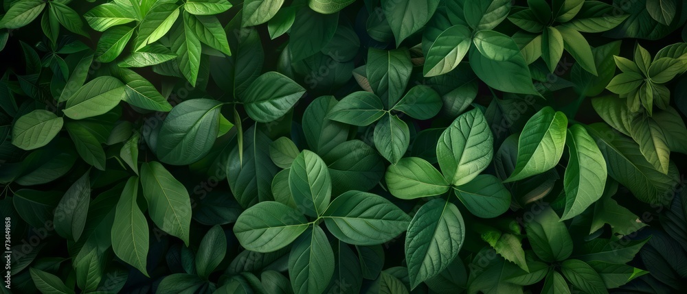 Green foliage texture Green foliage texture