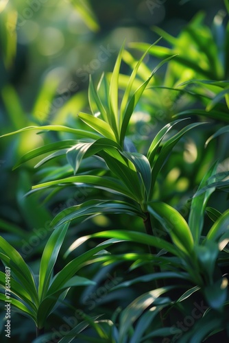 A close-up view of a bunch of vibrant green plants. Ideal for adding a touch of nature to any project