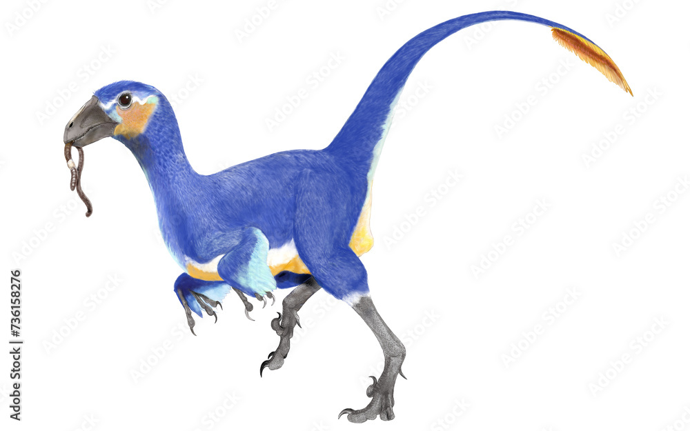Obraz premium ヘスペロニクス、ヴェロキラプトルよりも鳥類に近いニワトリサイズのラプトル