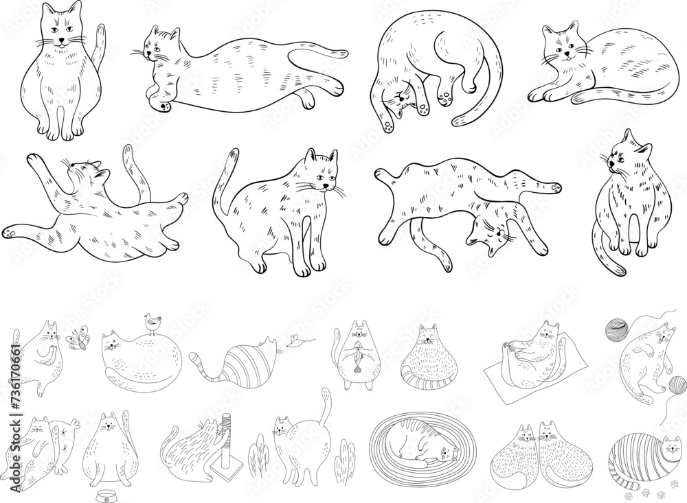 Set of cute cartoon cats different poses. Hand drawn illustration in doodle style isolate on white collection. Set of cute cartoon cats different poses. Hand drawn illustration in doodle style isolate on white collection.