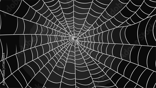 Abstract patterns forming a spider web  illustrating the intricacy and craftsmanship found in nature. simple Vector Illustration art simple minimalist illustration creative