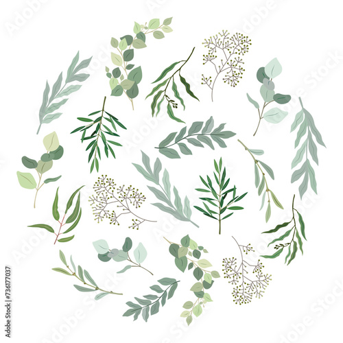 Circle filled Eucalyptus green leaves and branches. Detailed hand drawn colorful vector botanical illustration isolated on transparent background.