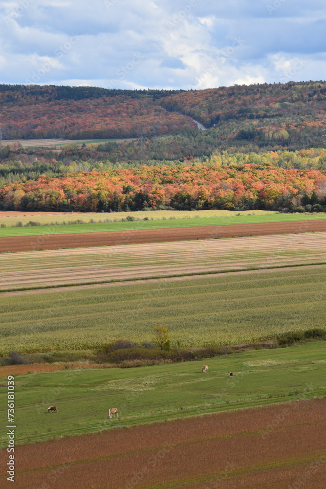 Farms in autumn, Montmagny, Québec, Canada