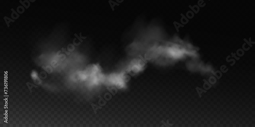 Fog or smoke, white smog clouds on floor, isolated transparent special effect. Vector illustration, morning fog over land or water surface, magic haze. 