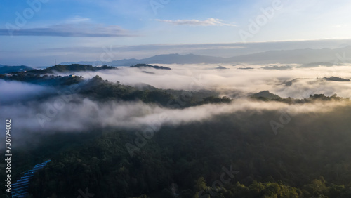 Fototapeta Naklejka Na Ścianę i Meble -  Aerial view of the Borneo rainforest.