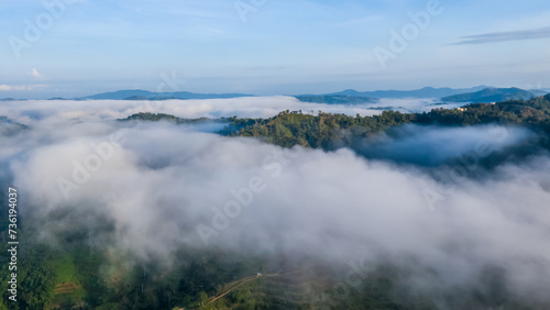 Aerial view of the Borneo rainforest. © Yusnizam Yusof